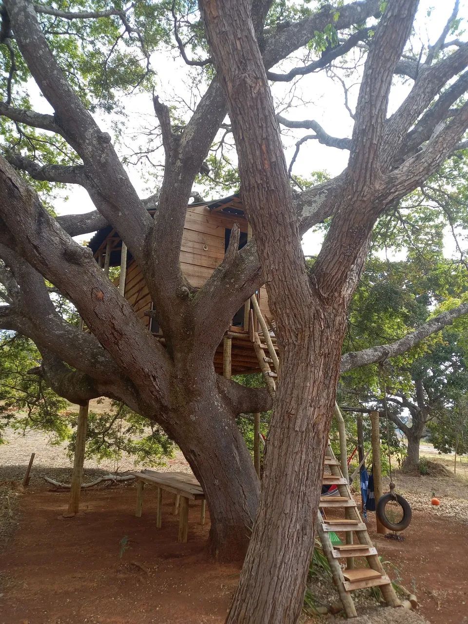 Lote Espetacular  - Foto 2