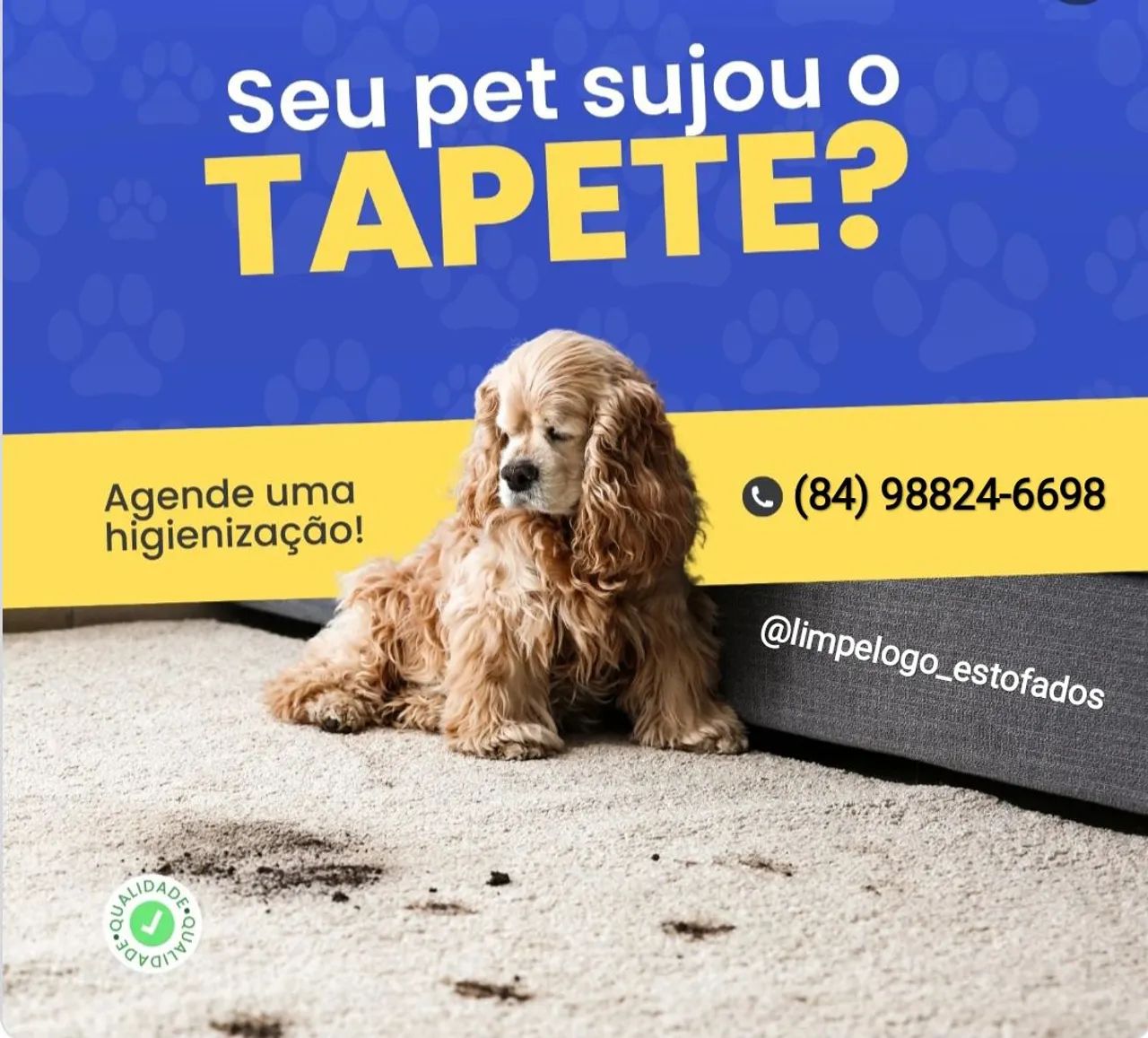 Limpeza de Tapetes - Foto 2