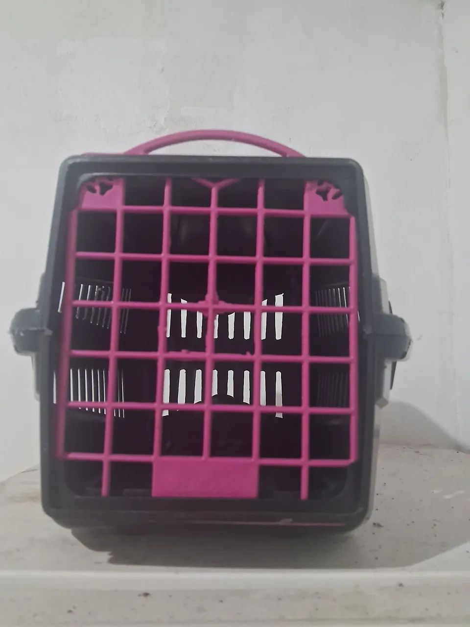Caixa de transporte de pet 