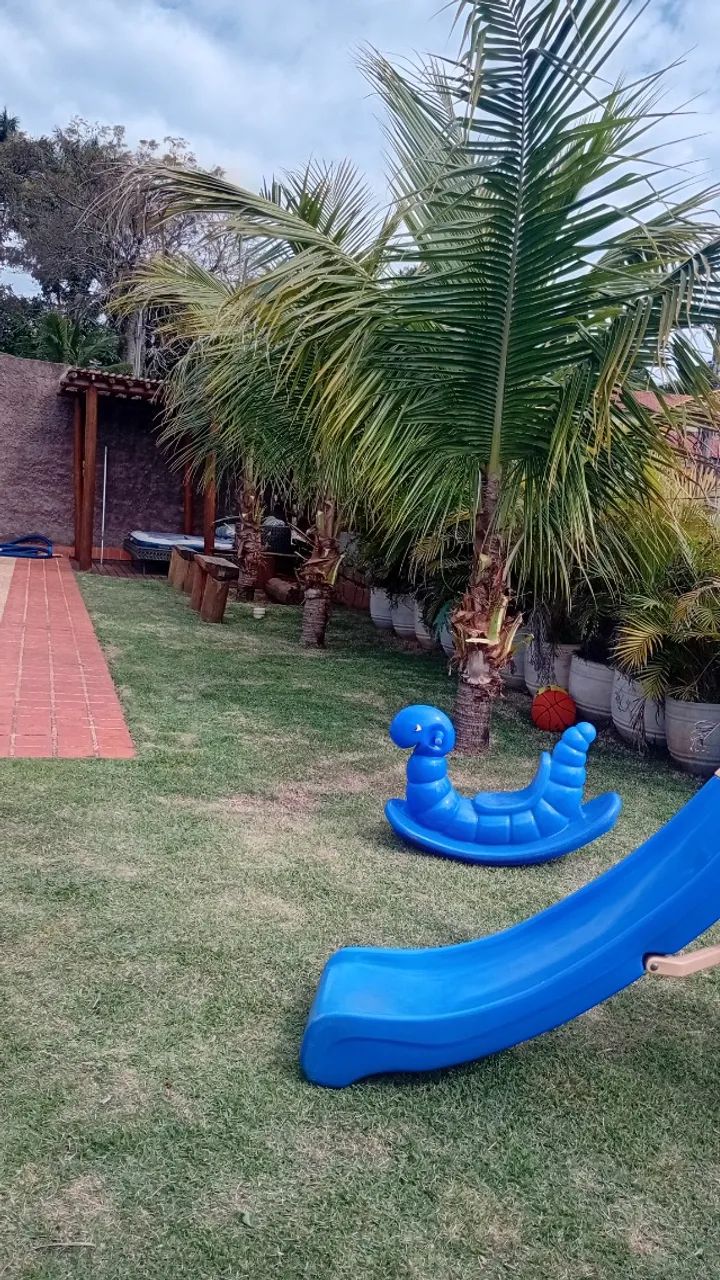 Jardinagem e limpeza de Piscina  - Foto 5