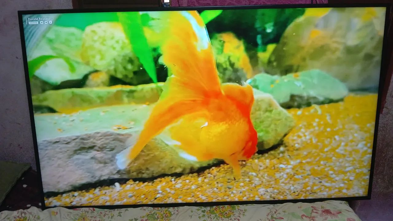 Vendo tv Samsung 60 polegadas smart 4k funcionando perfeitamente valor 1850 pra vim buscar - Foto 3