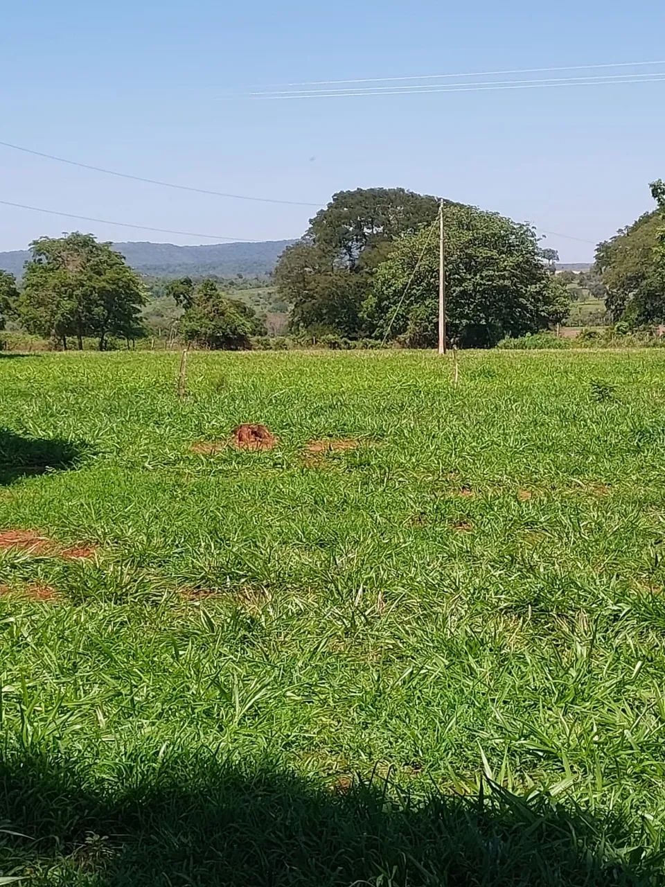 Chácara 85 hectares próxima a sidrolandia 