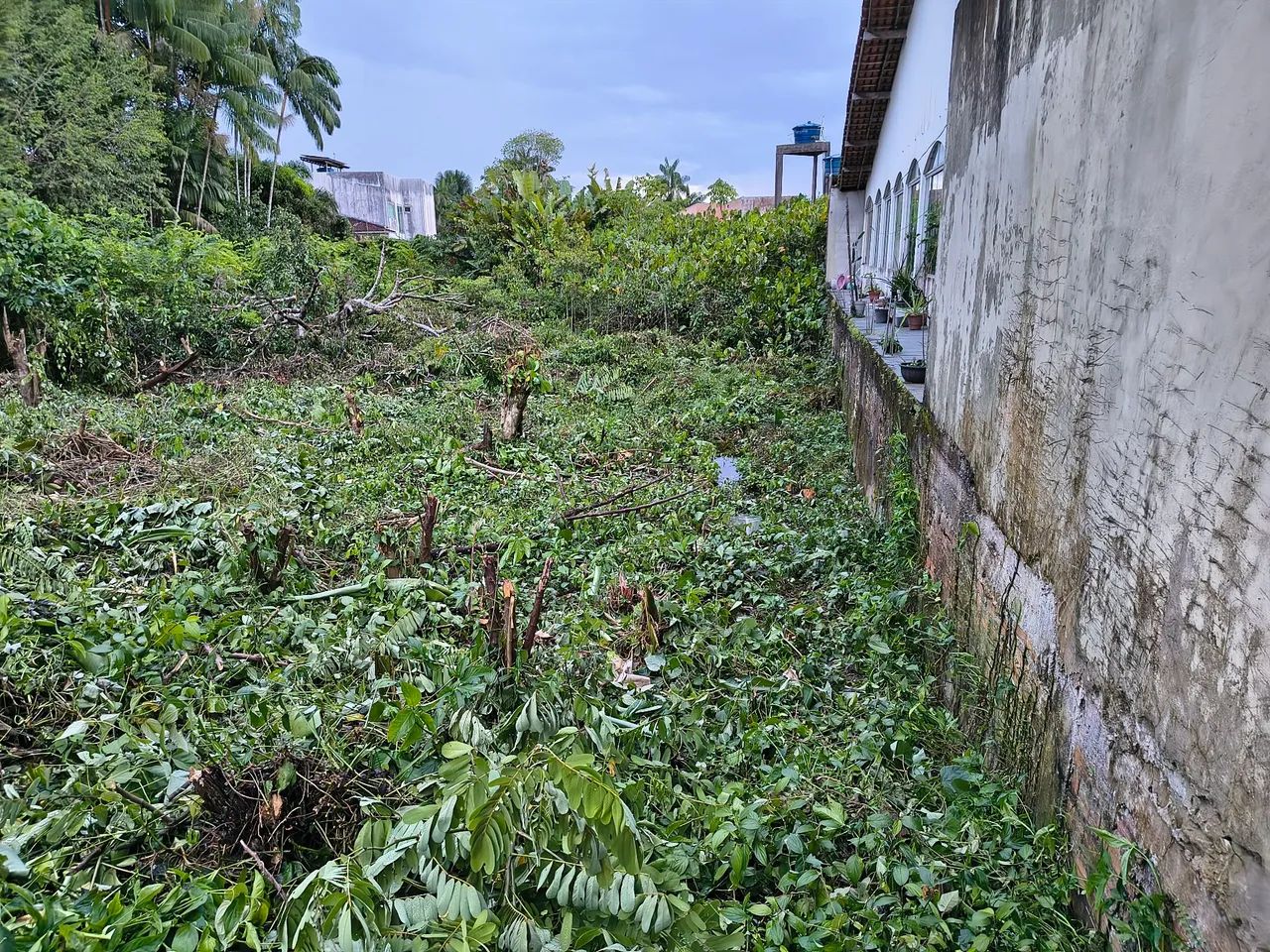 Condomínio Amazon Garden - Foto 2
