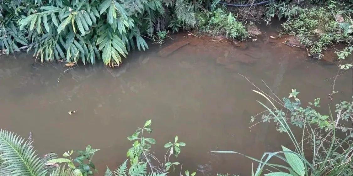 VENDE-SE TERRENO EM PIEDADE DOS GERAIS - Foto 3