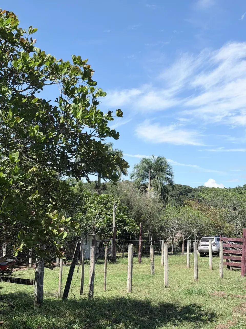 Chácara à venda em Aragoiânia  completa e pronta para você! - Foto 4