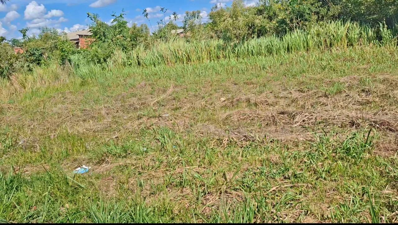 Terreno no Benfica - Foto 4