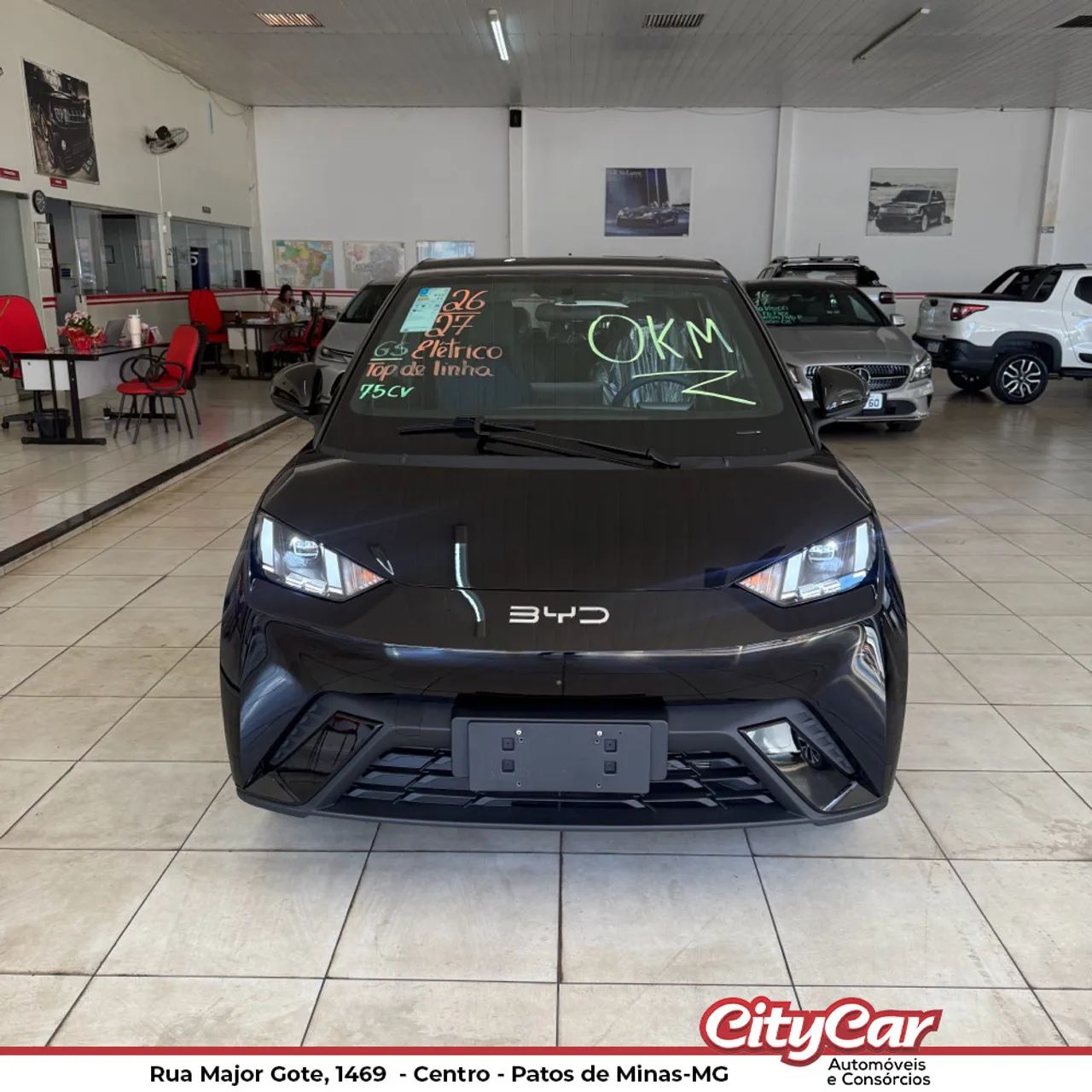 BYD Dolphin GS (Elétrico) 2027 - Foto 2