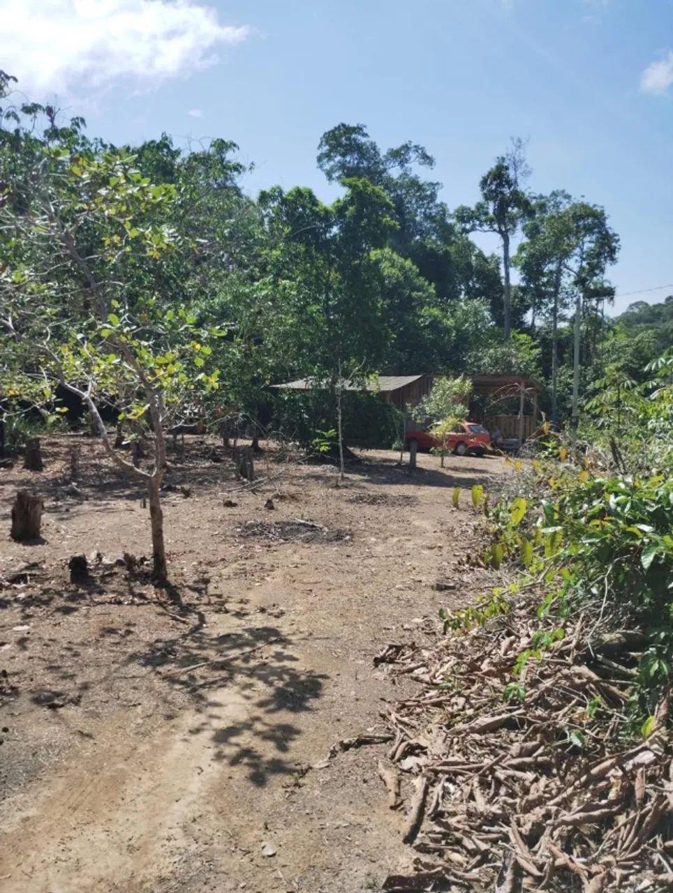 Terreno no ramal Água Branca 1 - Foto 5