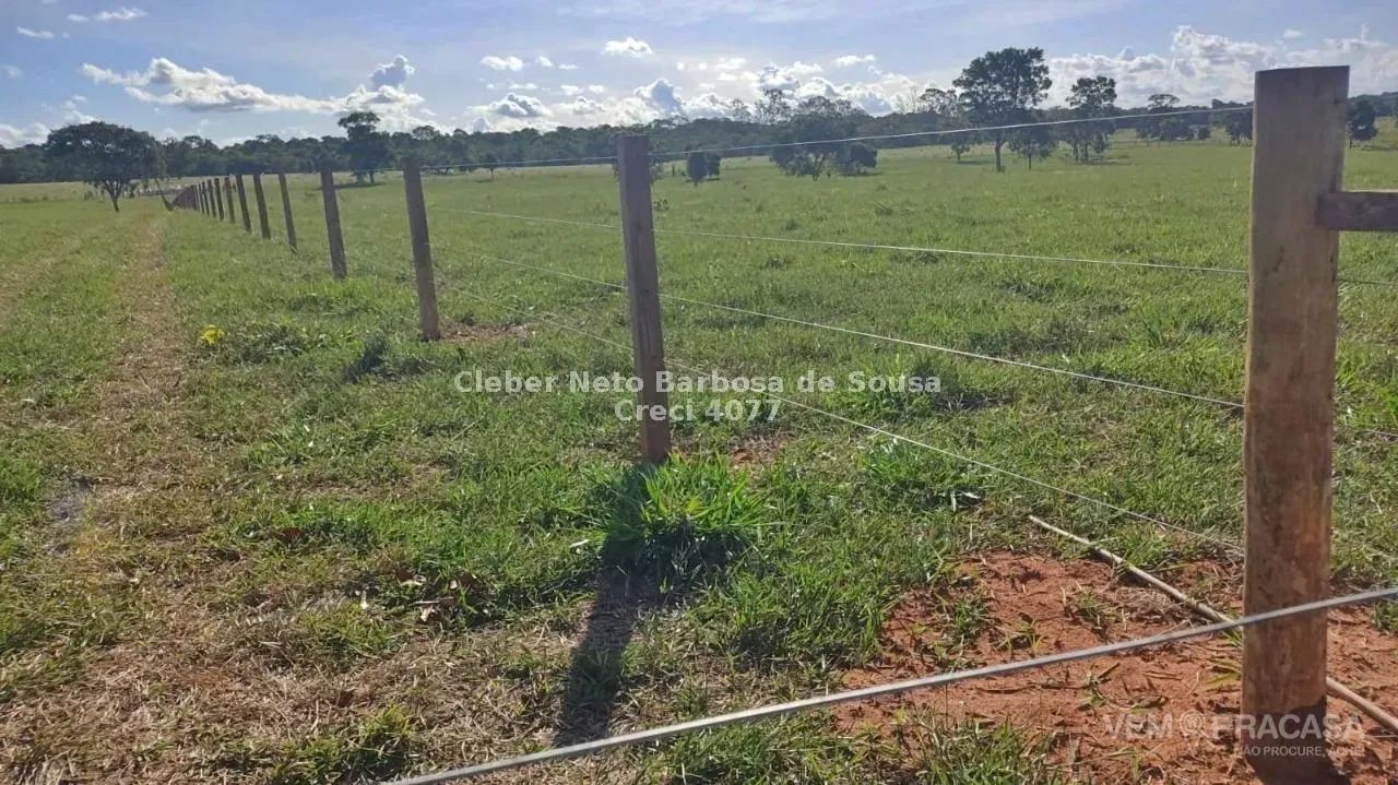Fazenda 102 Hectares em Rochedo - Foto 4