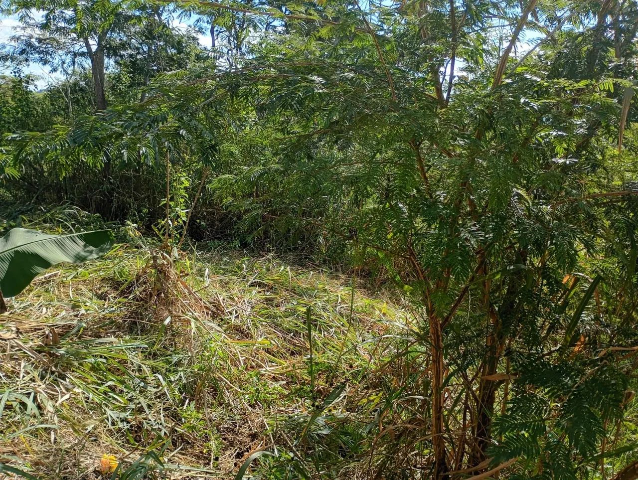 Terreno em Vargem Alegre  - Foto 3