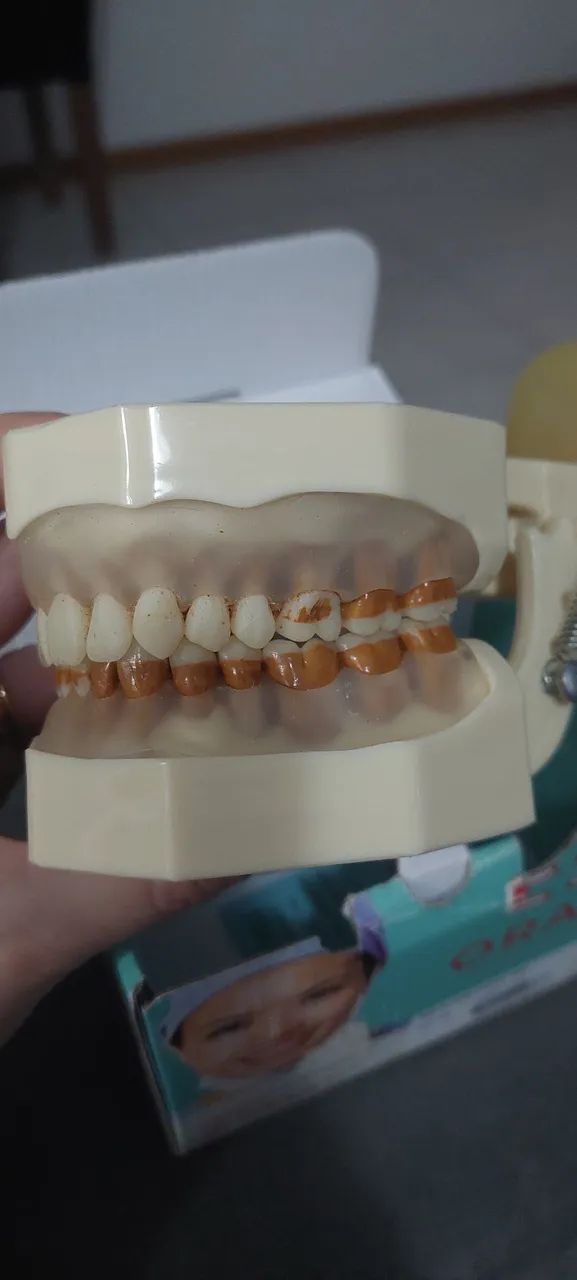 Manequim Periodontia - Foto 4