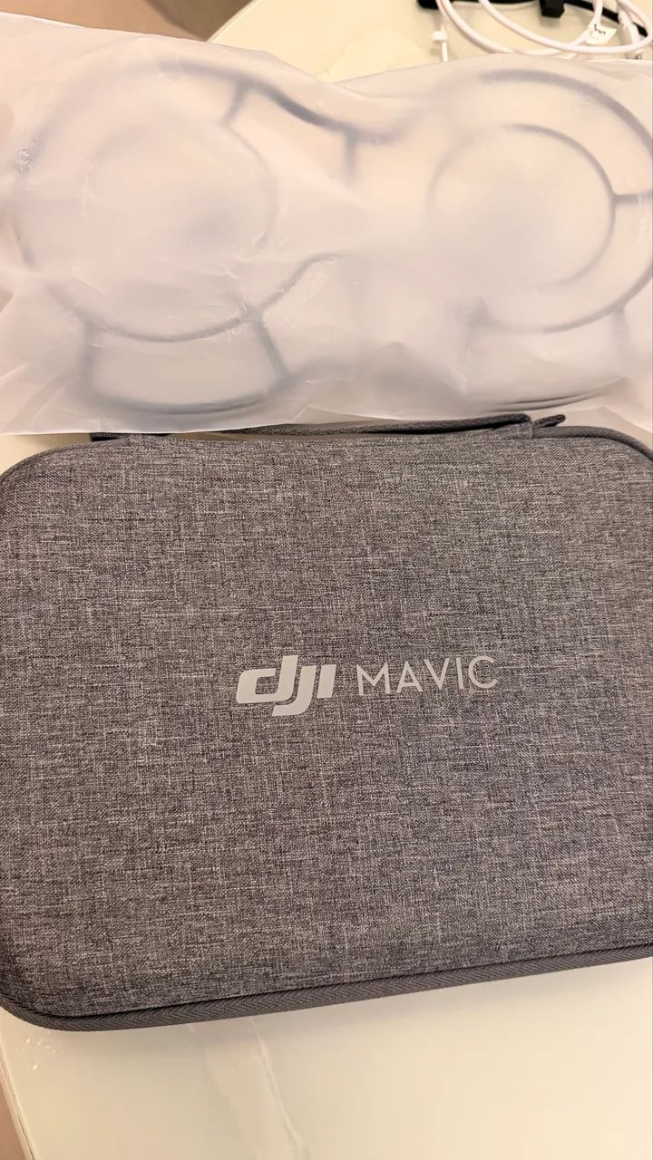 Mavic mini