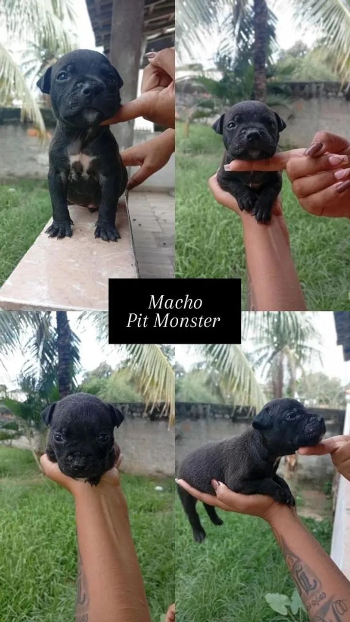 Vende-se 