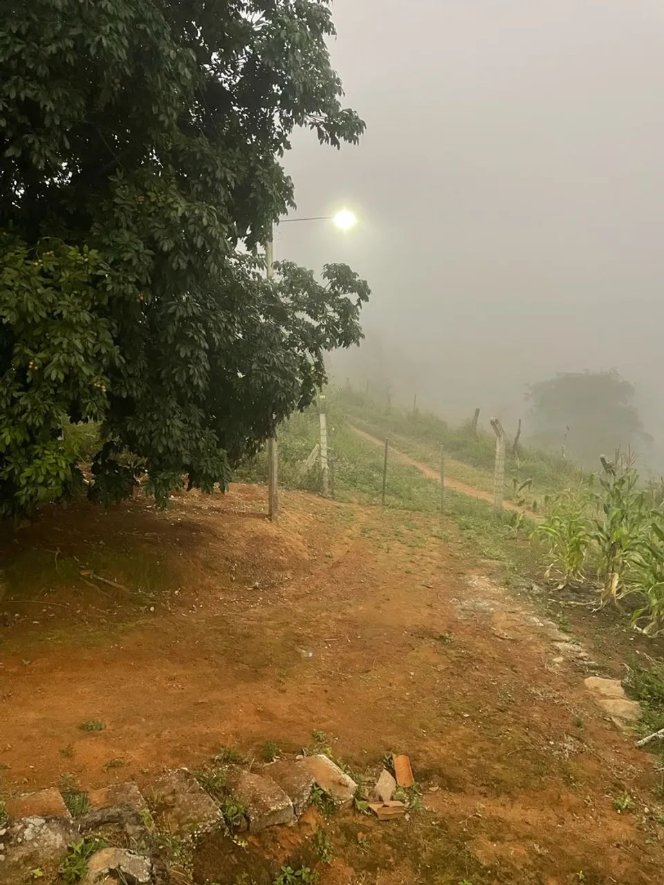 Sítio com uma tarefa em Água Branca - Foto 4
