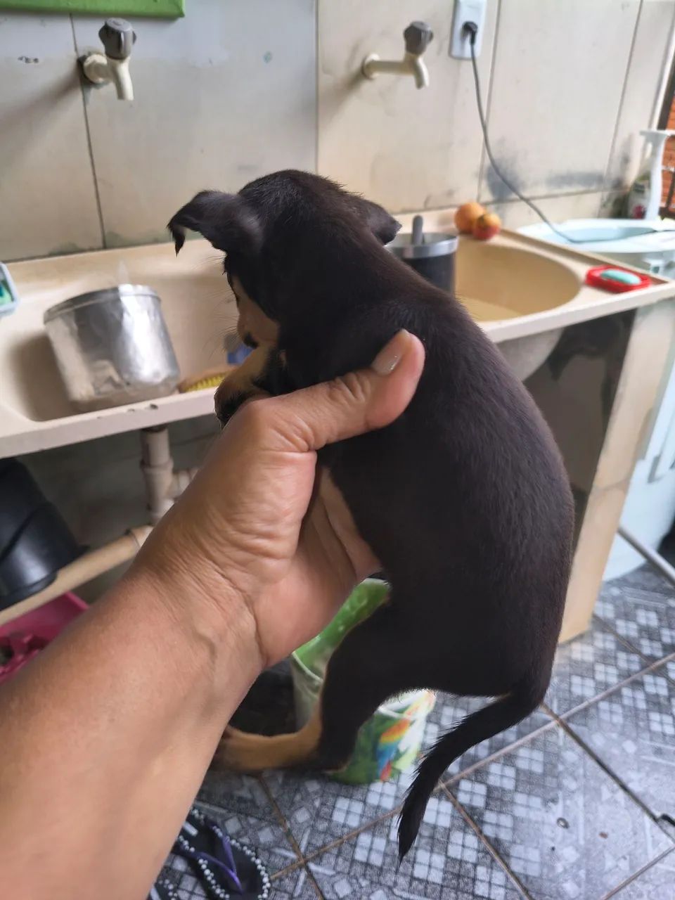 SO VENDAS - Foto 4