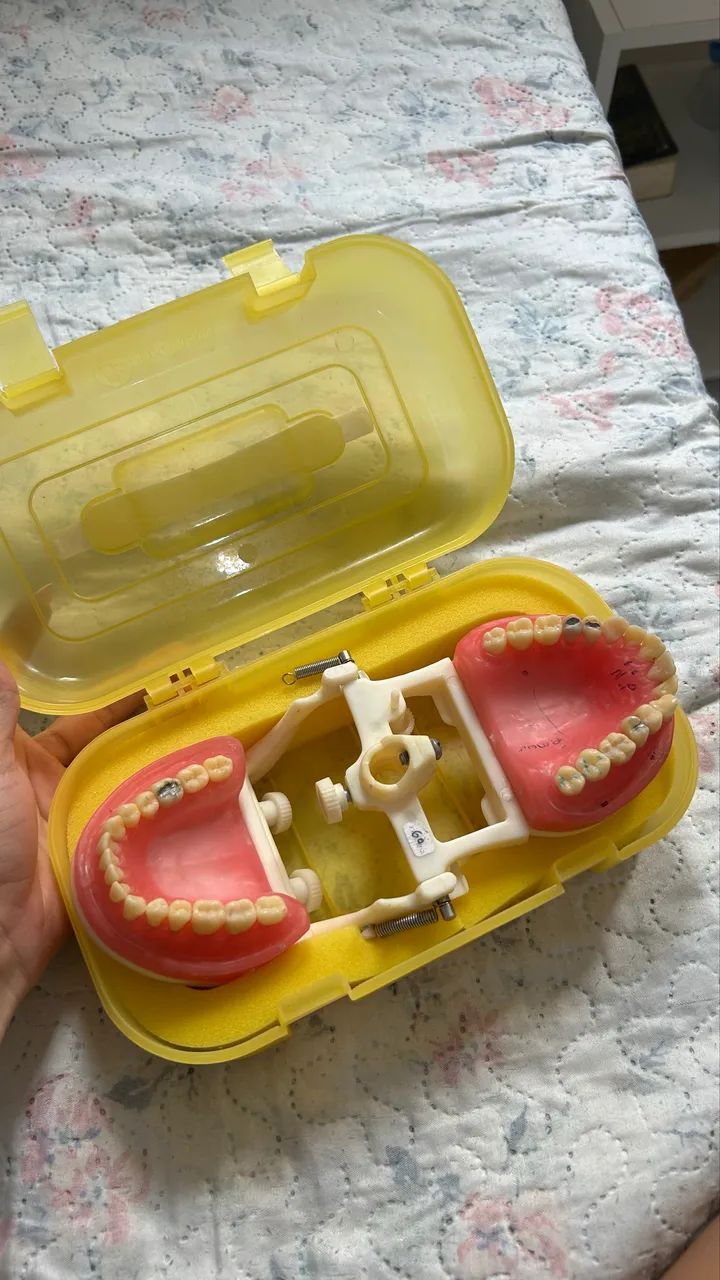 Manequim odontológico