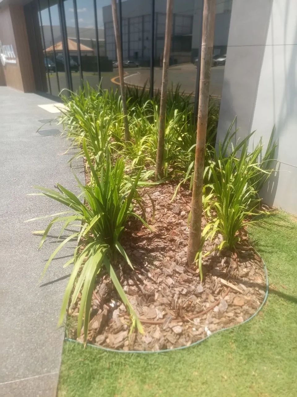 Jardinagem completa  - Foto 3
