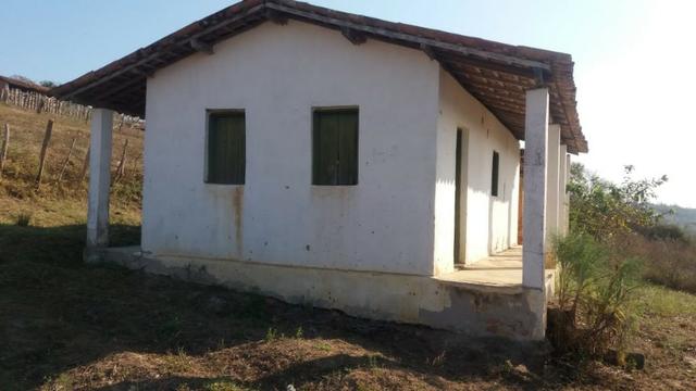 Ótimo chácara de 1500 m², com energia , a 300 m de Mandacaru-PE - Foto 3