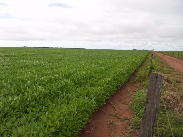 Fazenda rural à venda, 121 alqueires - Goioerê. - Foto 3