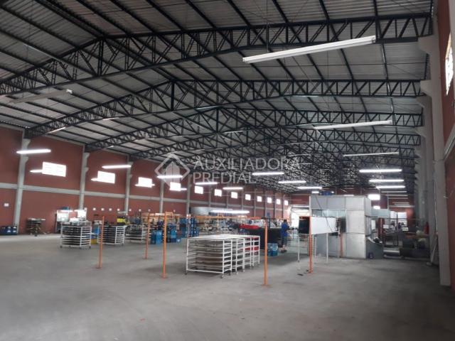 Galpão/depósito/armazém para alugar em Distrito industrial, Cachoeirinha cod:282175 - Foto 5