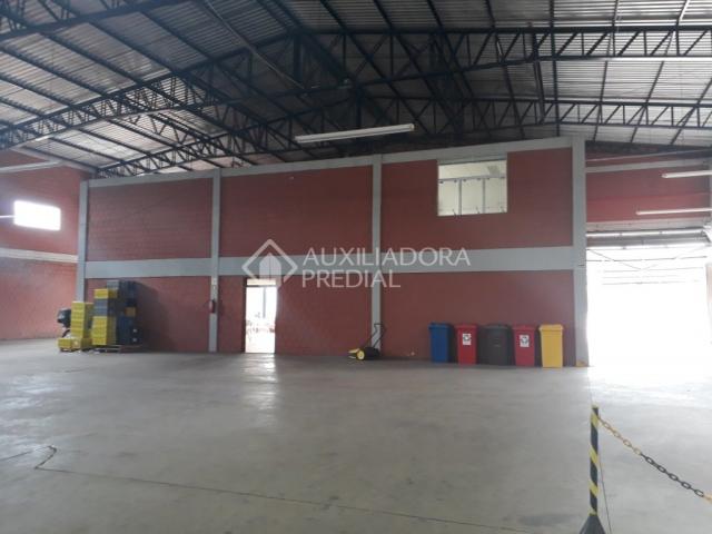 Galpão/depósito/armazém para alugar em Distrito industrial, Cachoeirinha cod:282175 - Foto 6