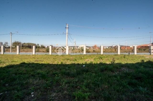 Terreno à venda em Aberta dos morros, Porto alegre cod:281887 - Foto 8