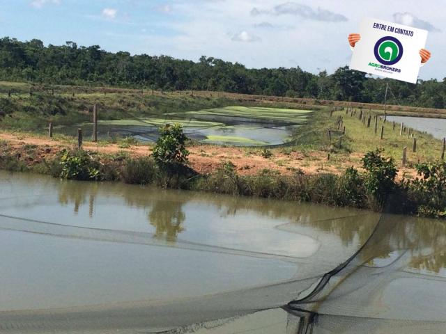Fazenda com piscicultura ativa, próximo de nossa senhora do livramento - Foto 5