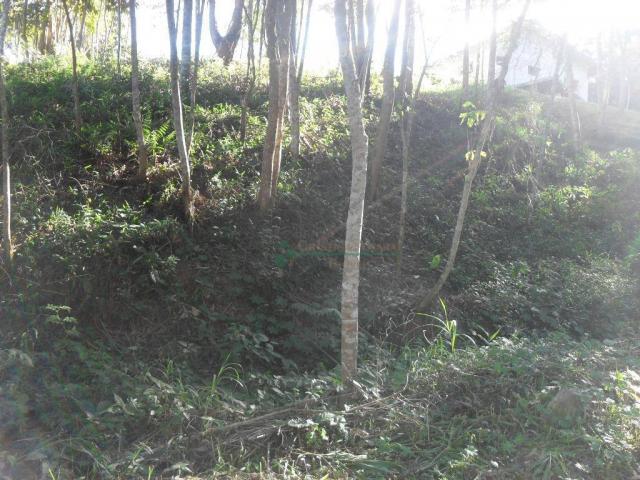 Terreno residencial à venda, Vargem Grande, Teresópolis. - Foto 20