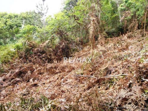 Terreno residencial à venda, Jardim Salaco, Teresópolis - TE0010. - Foto 5