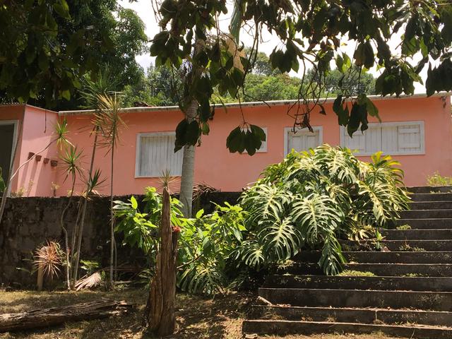 Fazenda de cacau em Ilhéus Bahia na RODOVIA DO CHOCOLATE / Super oportunidade