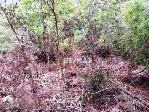 Terreno residencial à venda, Jardim Salaco, Teresópolis - TE0010. - Foto 11