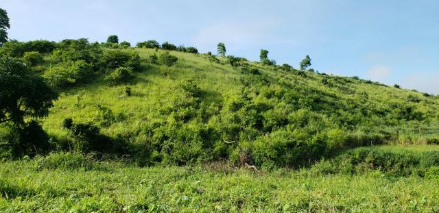 Fazenda 20 alqueires em São Jose Safira / MG - Foto 16