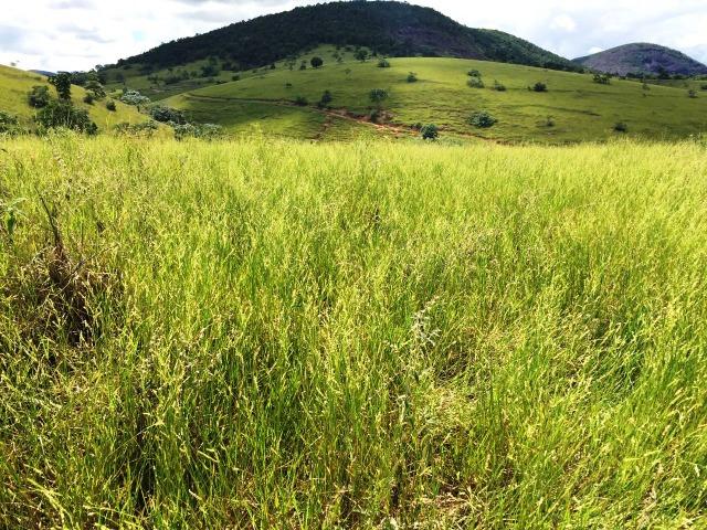 Fazenda 1001 hectares próximo a Teófilo Otoni/MG - Foto 8