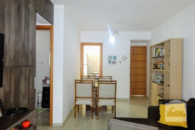 Apartamento à venda com 3 dormitórios em Grajaú, Belo horizonte cod:257769 - Foto 4