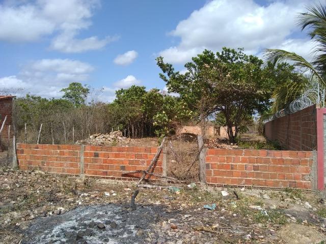 Terreno na baixa da carnaúba no km16 Parnaíba PI