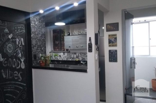 Apartamento à venda com 2 dormitórios em Alto barroca, Belo horizonte cod:257722 - Foto 6