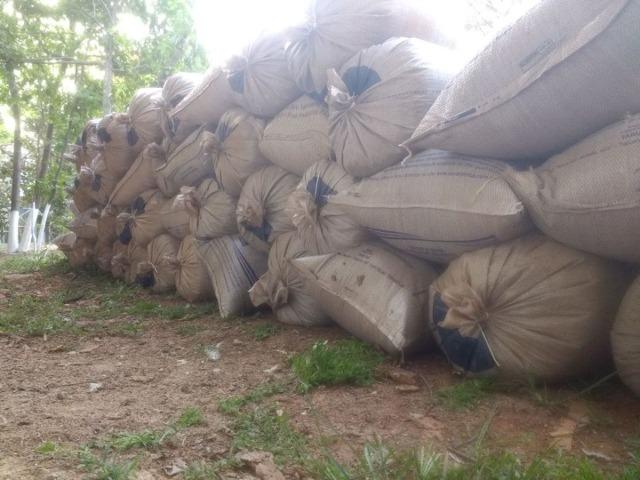 Cama de Frango / Adubo Orgânico / Esterco de Galinha / Adubo para Horta - Foto 3