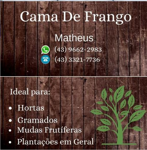 Cama de Frango / Adubo Orgânico / Esterco de Galinha / Adubo para Horta - Foto 5