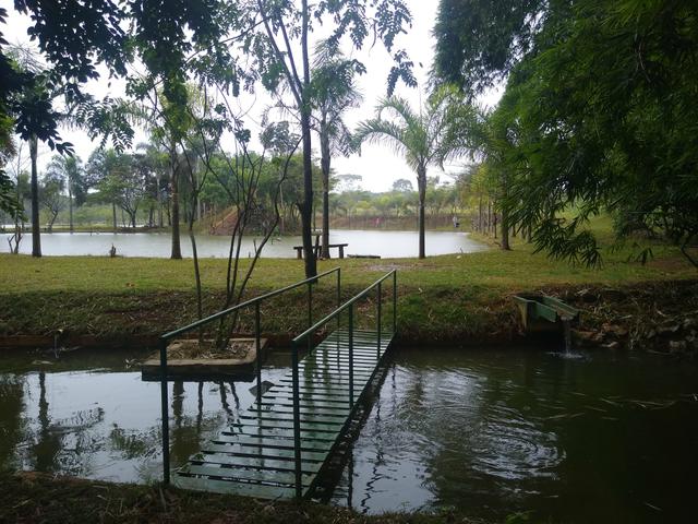 Chácara com lagos e pomar - Foto 5