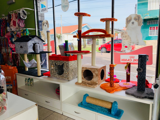 Vendo Agroveterinária