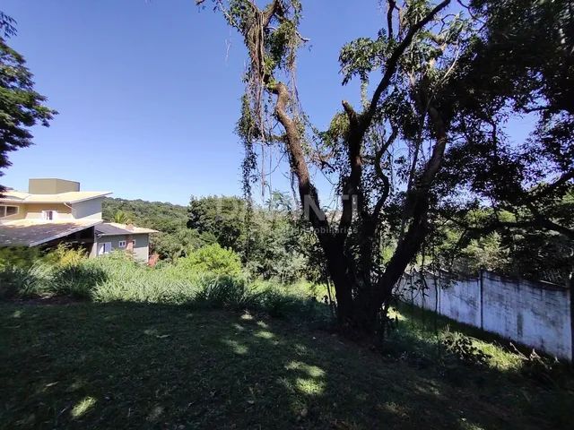 terreno - Chácara Flora - Valinhos - Foto 3