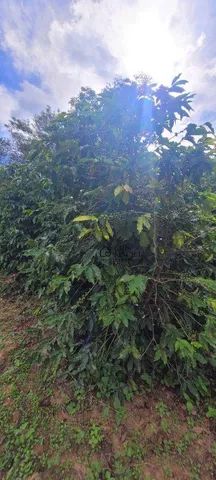 Terreno à venda no Agricola Santa Clara em Monte Mor/SP.