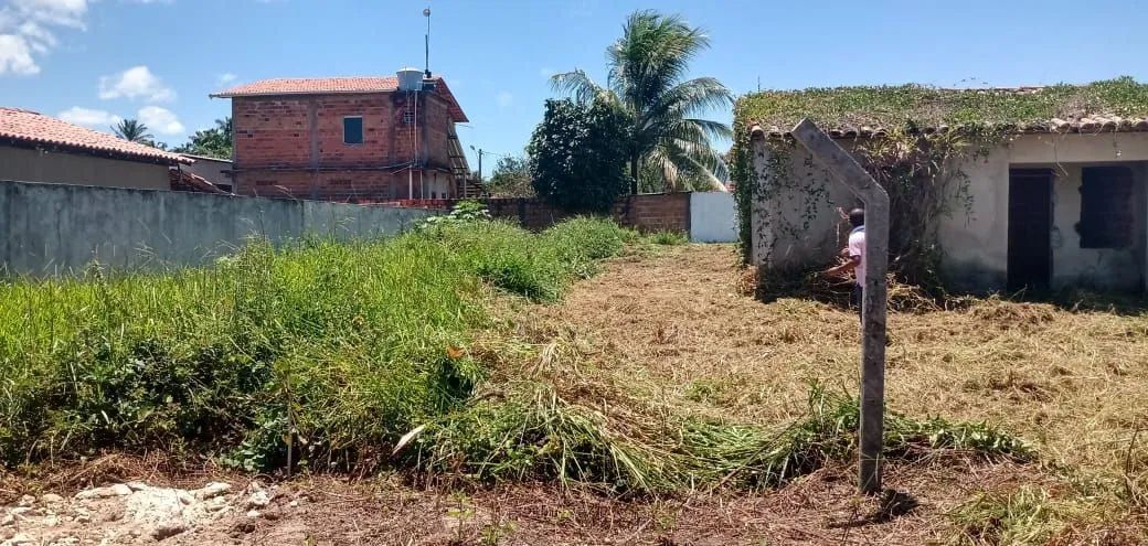 Vendo terreno na ilha,entre conceição de salinas e Cairu. - Foto 5