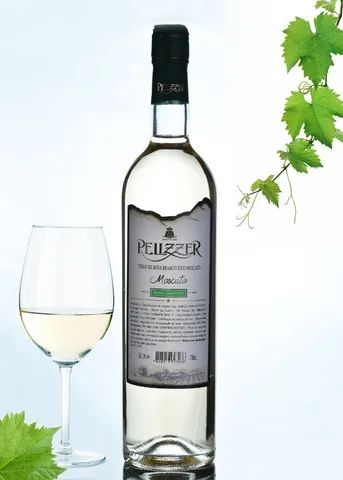 Vinhos Finos e de mesa serra gaucha garrafas 750ml pet garrafões alta qualidade - Foto 2