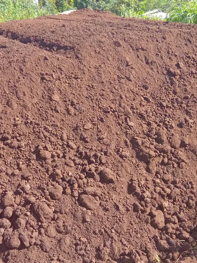 Esterco de Gado Confinado [Curtido] - Foto 6