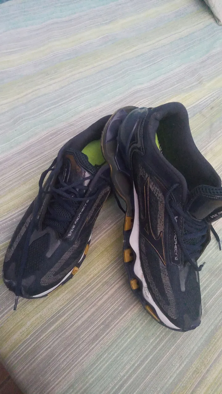 Tênis Mizuno Wave Prophecy 12