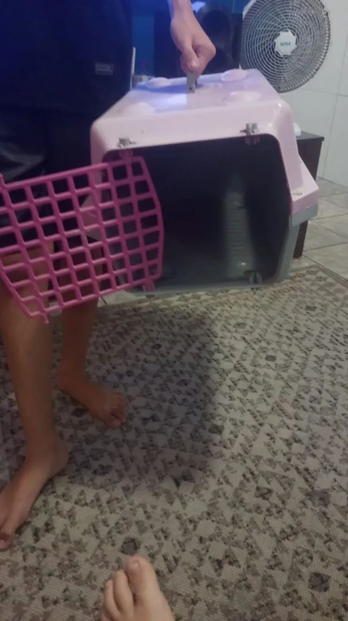 Caixa de transporte para animais de estimação PROMOÇÃO  - Foto 4