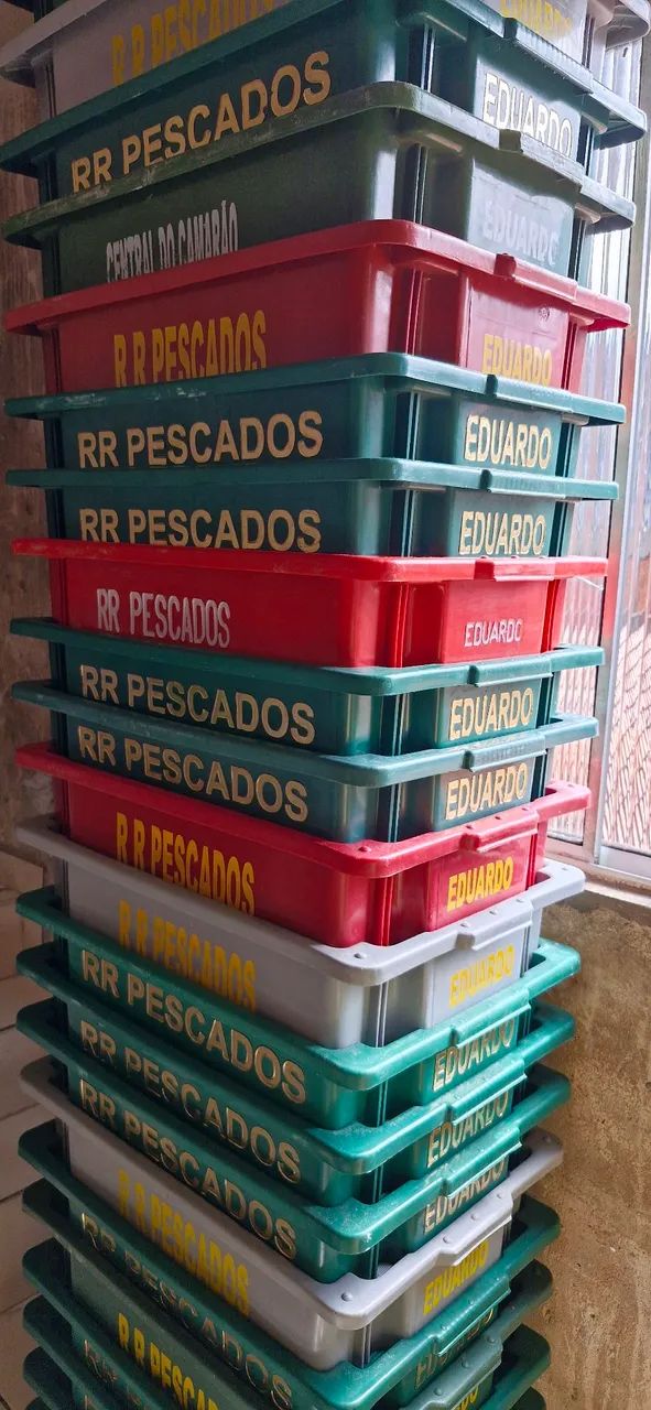 Conjunto de Caixas Frigoríficas cores variadas