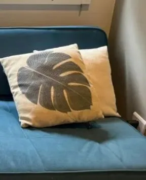Almofadas decorativas