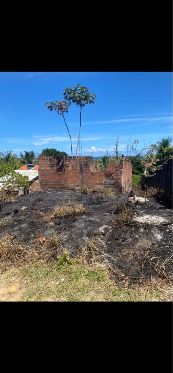 Terreno na Ilha de Vera Cruz - Foto 4